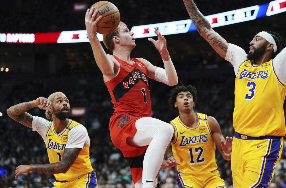 员在高压环 员在高压环