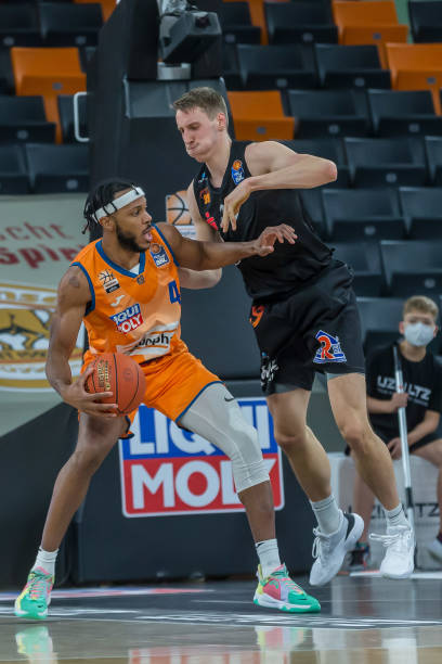 或许在不久 或许在不久